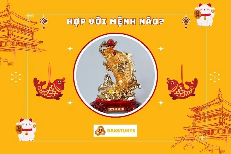 Cá chép phong thủy hợp mệnh nào?