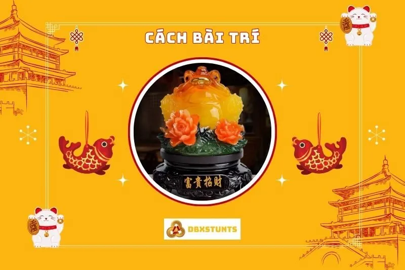 Cách bài trí Cóc Ngậm Tiền phong thủy
