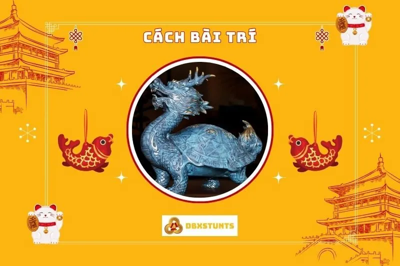 Cách bài trí Long Quy phong thủy đúng cách