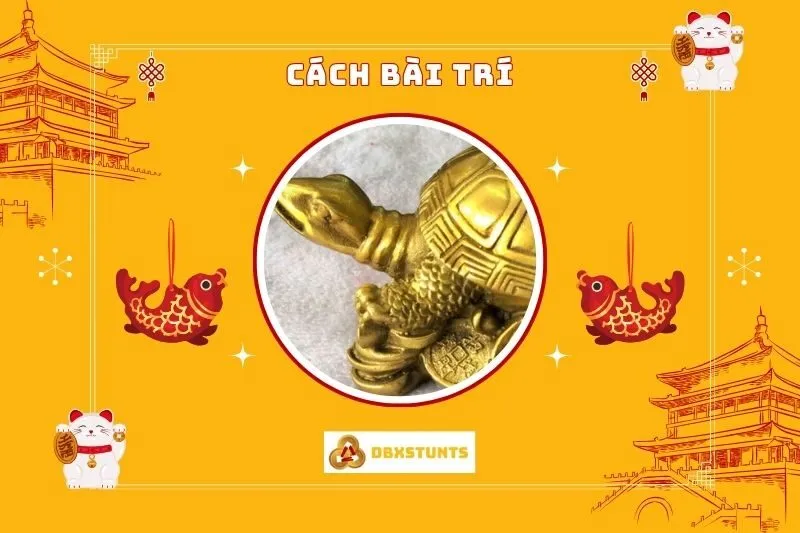Cách bài trí Tượng Rùa Phong Thủy