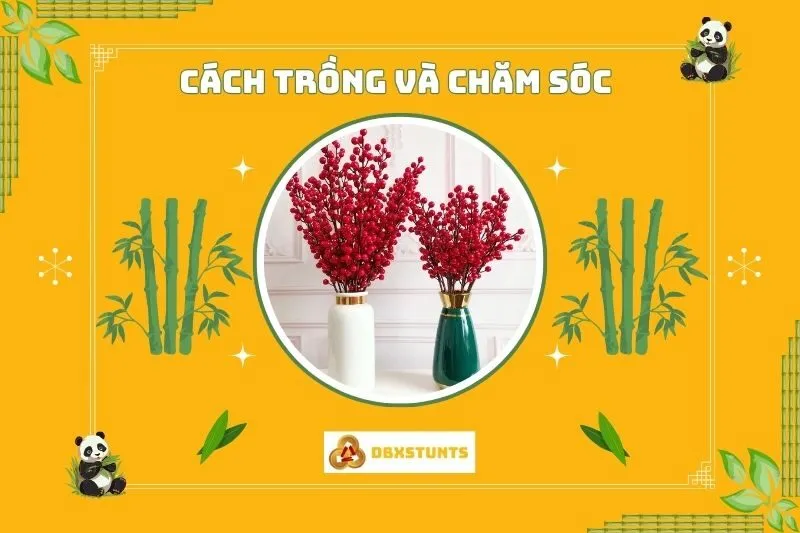 Cách trồng và chăm sóc cây đào đông đỏ tại nhà