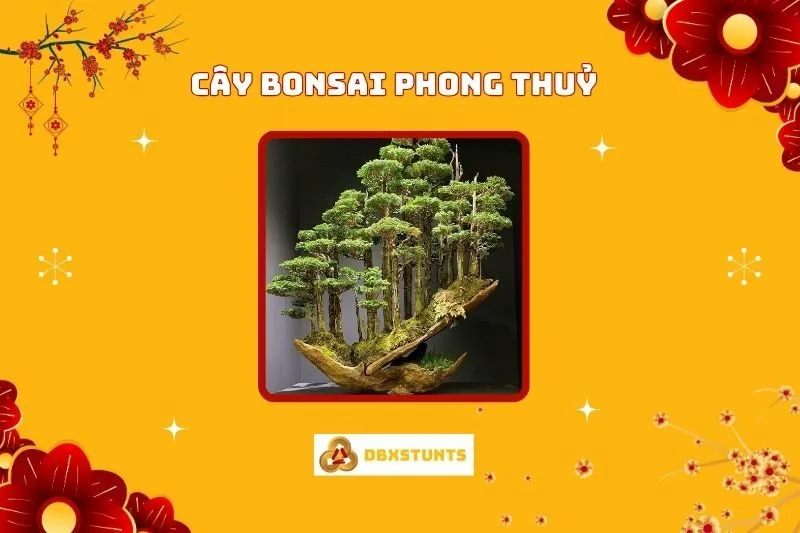 Cây Bonsai Phong Thủy: Ý Nghĩa, Hợp Mệnh Nào, Cách Trồng