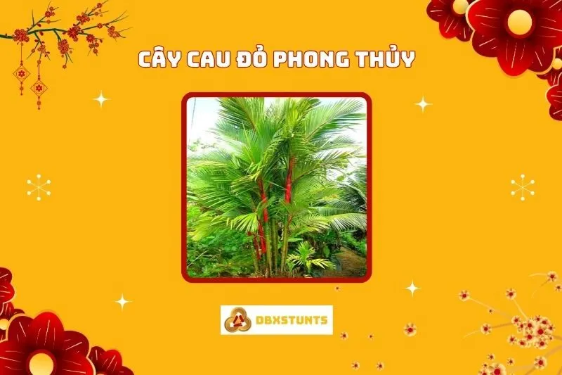 Cây Cau Đỏ Phong Thuỷ: Ý Nghĩa, Hợp Mệnh Nào, Cách Trồng