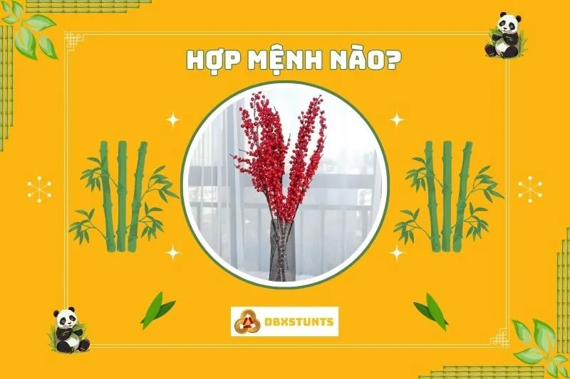Cây đào đông đỏ phong thủy hợp với mệnh nào?