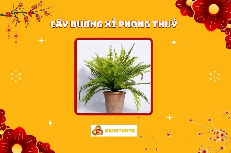 Cây Dương Xỉ Phong Thủy: Ý Nghĩa, Cách Trồng và Bố Trí