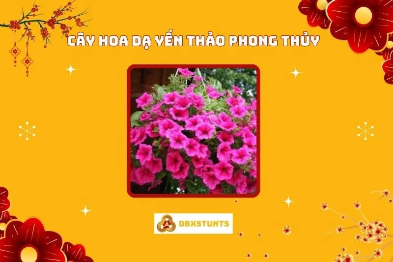 Cây Hoa Dạ Yến Thảo Phong Thủy: Ý Nghĩa, Trồng Và Chăm Sóc