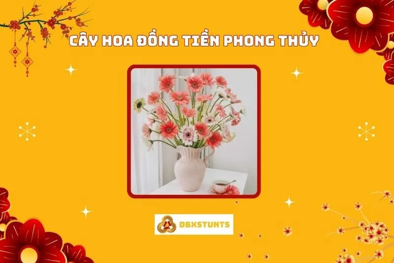 Cây Hoa Đồng Tiền Phong Thủy: Ý Nghĩa Và Cách Bố Trí Hợp Mệnh