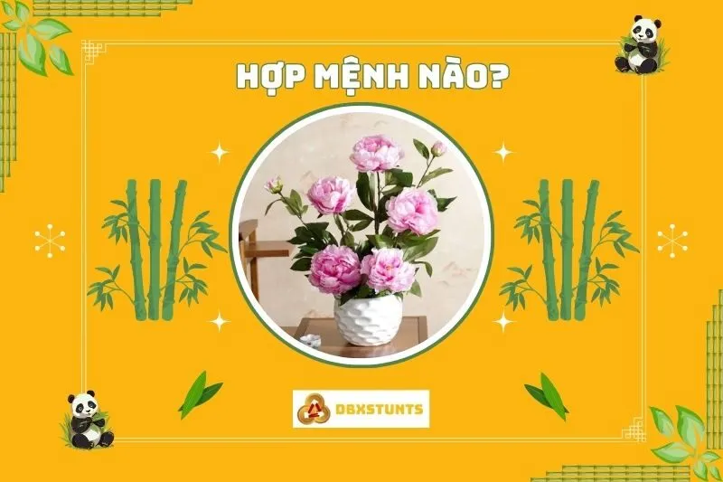 Cây Hoa Mẫu Đơn Phong Thuỷ Hợp Với Mệnh Nào?