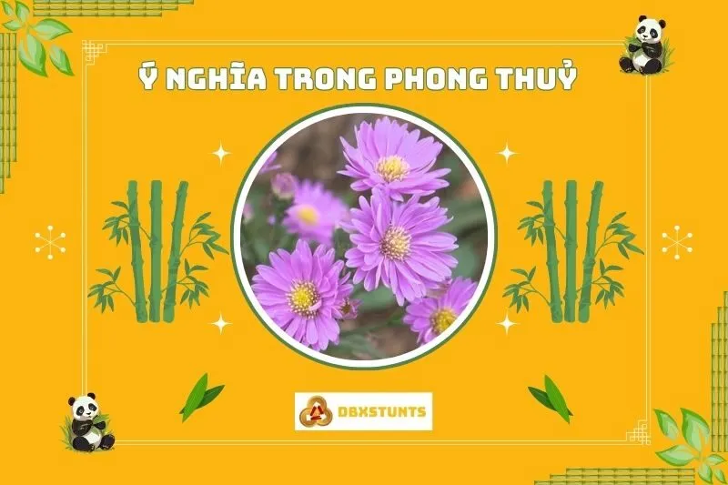 Cây Hoa Thạch Thảo Phong Thuỷ: Ý Nghĩa Và Nguồn Gốc