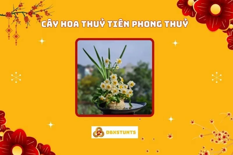 Cây Hoa Thủy Tiên Phong Thủy: Ý Nghĩa, Hợp Mệnh Và Cách Chăm Sóc