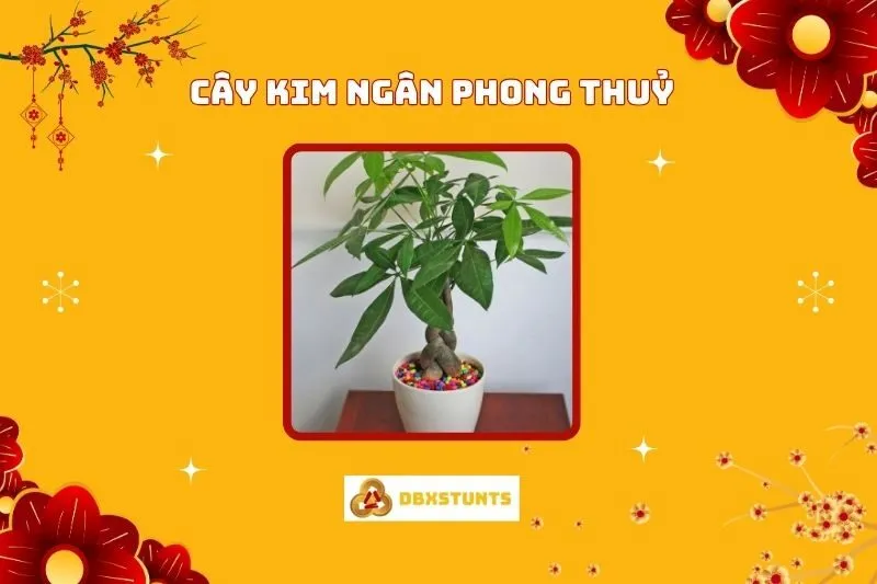 Cây Kim Ngân Phong Thủy: Ý Nghĩa, Hợp Mệnh Nào Và Cách Bố Trí