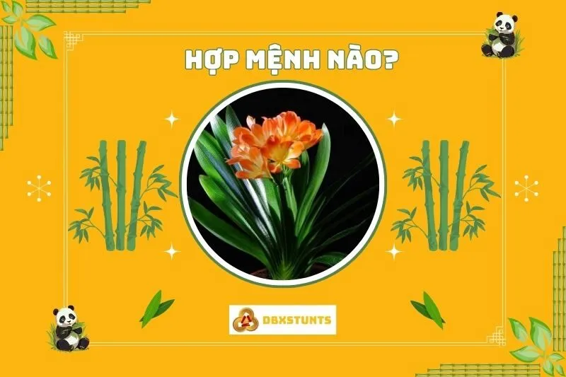 Cây Lan Quân Tử hợp mệnh nào và tuổi nào?