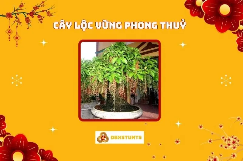Cây lộc vừng phong thủy: Ý nghĩa, cách trồng và bố trí hợp mệnh