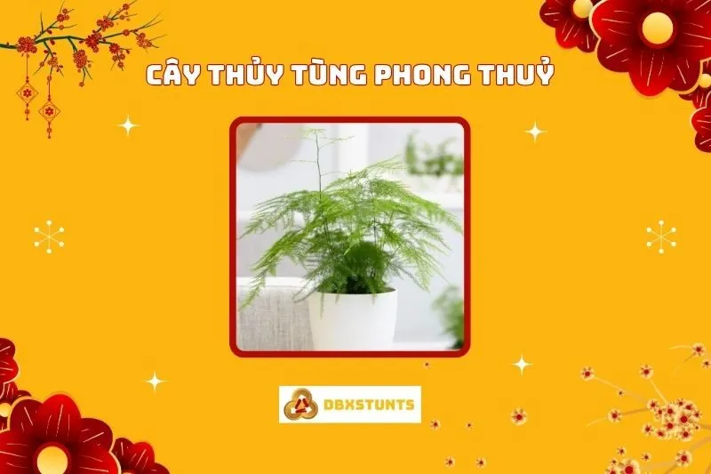 Cây Thủy Tùng Phong Thủy: Ý Nghĩa, Cách Trồng Và Bố Trí Chuẩn