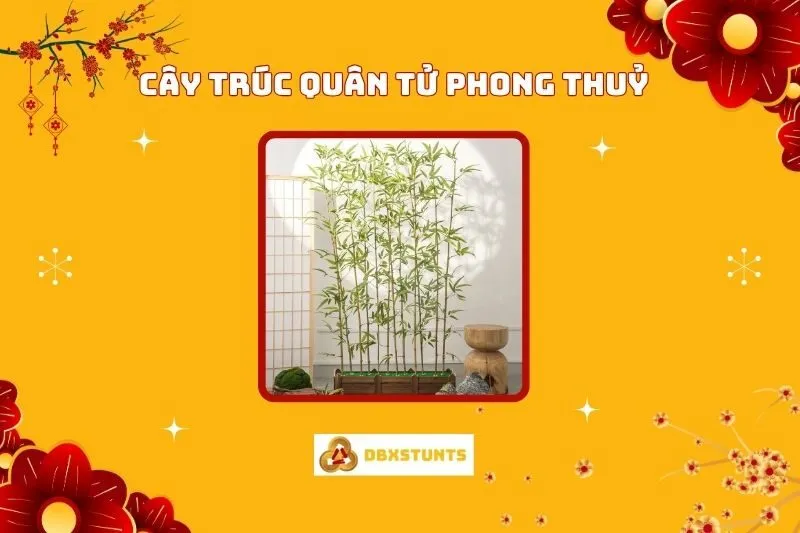 Cây Trúc Quân Tử Phong Thủy: Ý Nghĩa, Cách Trồng, Chăm Sóc