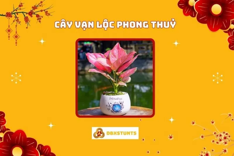 Cây Vạn Lộc Phong Thuỷ: Ý Nghĩa, Cách Trồng Và Chăm Sóc
