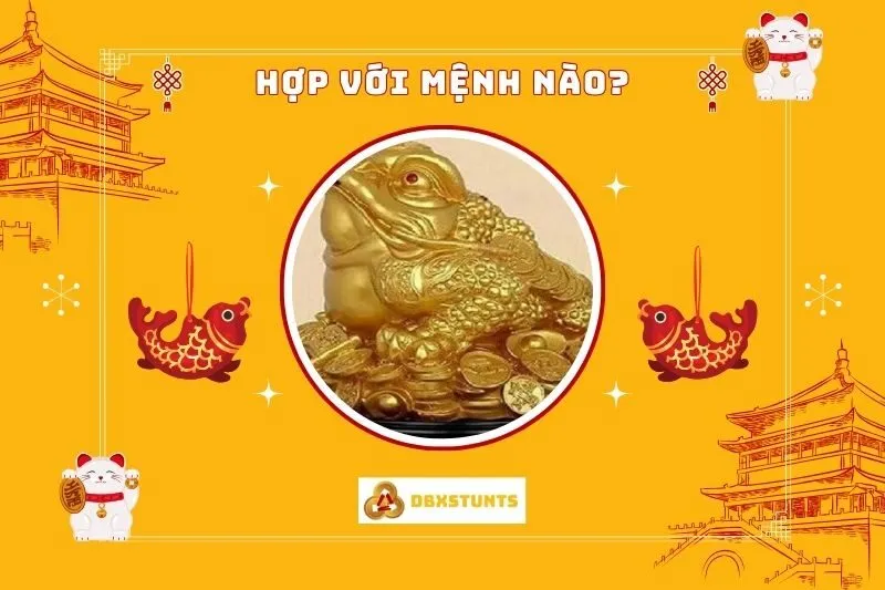 Cóc Ngậm Tiền phong thủy hợp với mệnh nào