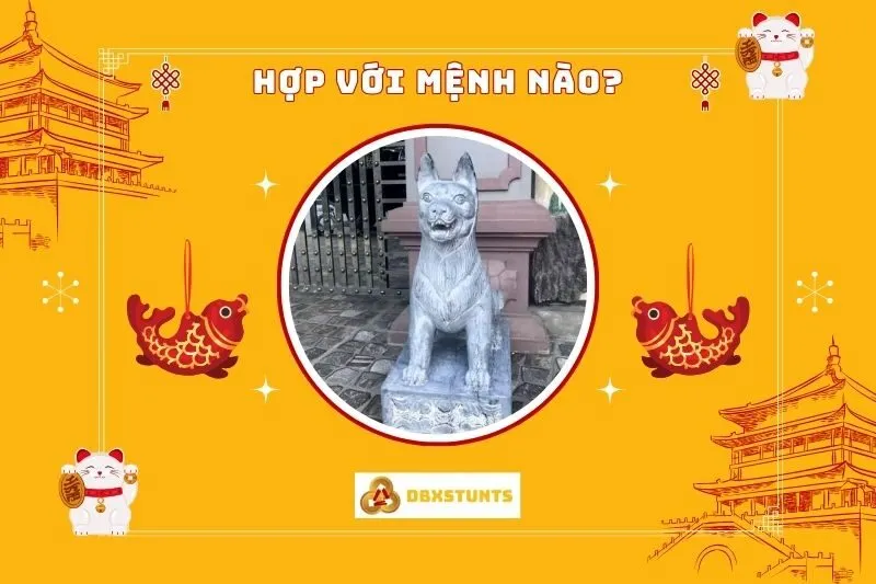 Tượng chó đá phong thủy phù hợp với mệnh nào?