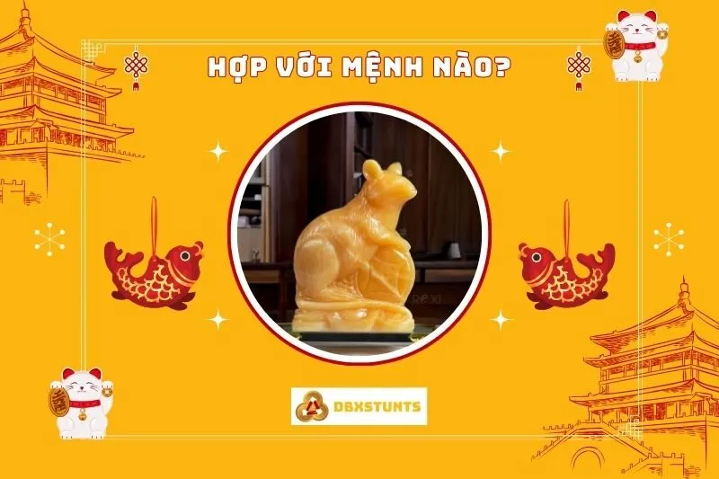 Tượng Chuột Đá phong thủy hợp với mệnh và tuổi nào?