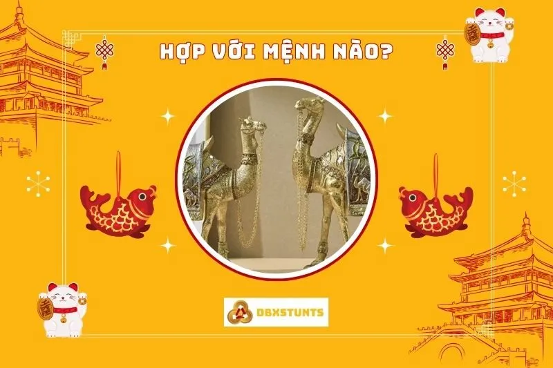 Tượng lạc đà hợp với mệnh nào