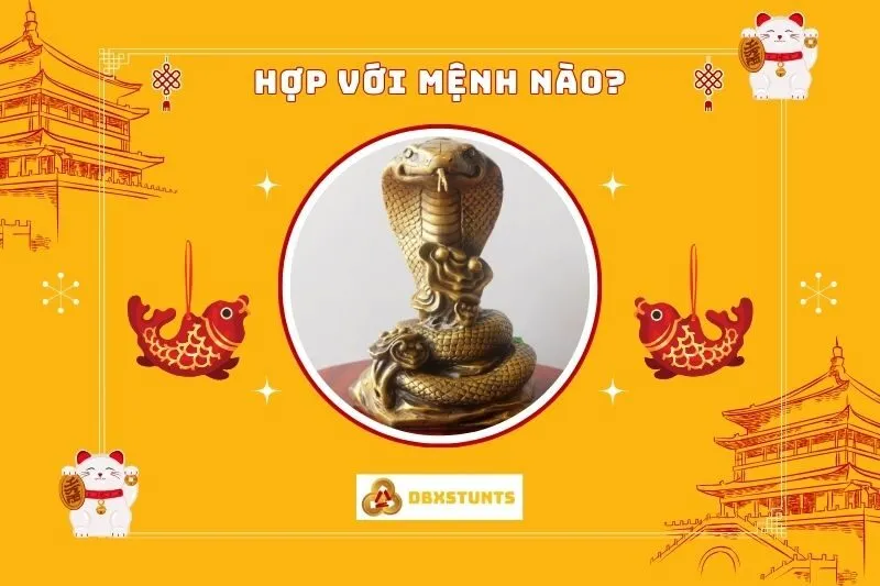 Tượng Rắn phong thủy hợp với tuổi nào và mệnh nào?