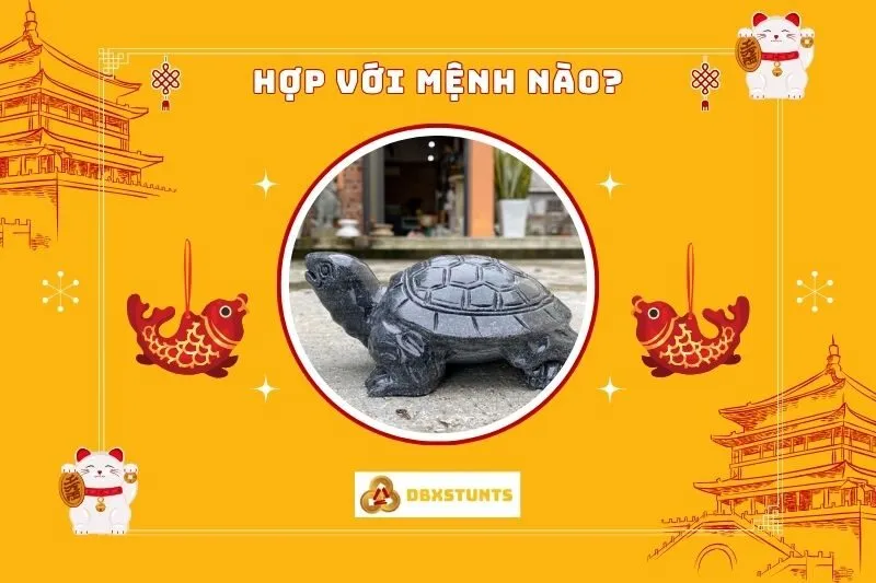 Tượng Rùa Phong Thủy hợp với những mệnh nào?