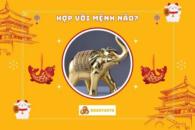 Tượng Voi phong thủy hợp mệnh nào?