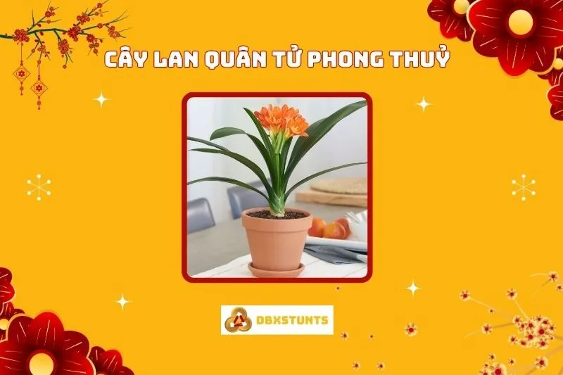 Ý Nghĩa Cây Lan Quân Tử Phong Thủy Và Cách Chăm Sóc Đúng Cách