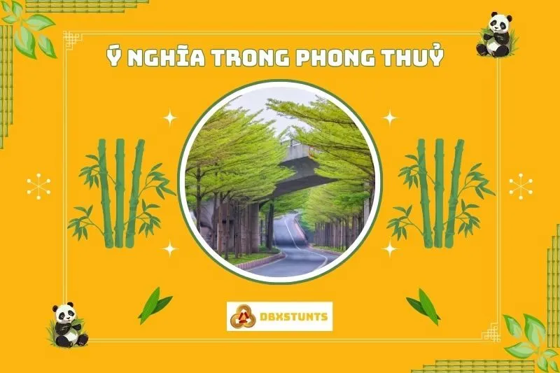 Ý nghĩa phong thủy của cây bàng Đài Loan