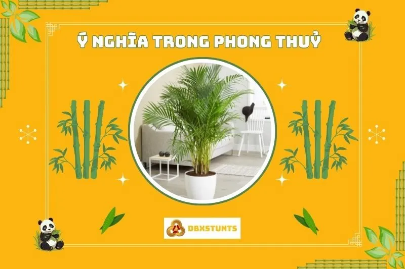 Ý nghĩa của cây cau cảnh phong thủy
