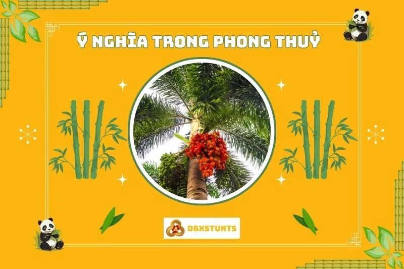 Ý nghĩa phong thủy của cây cau đỏ