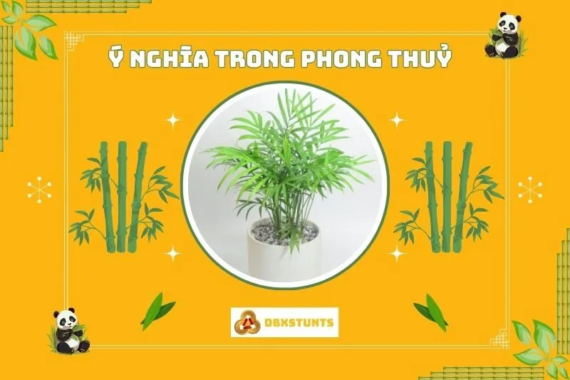 Cách trồng và chăm sóc cây cau tiểu trâm