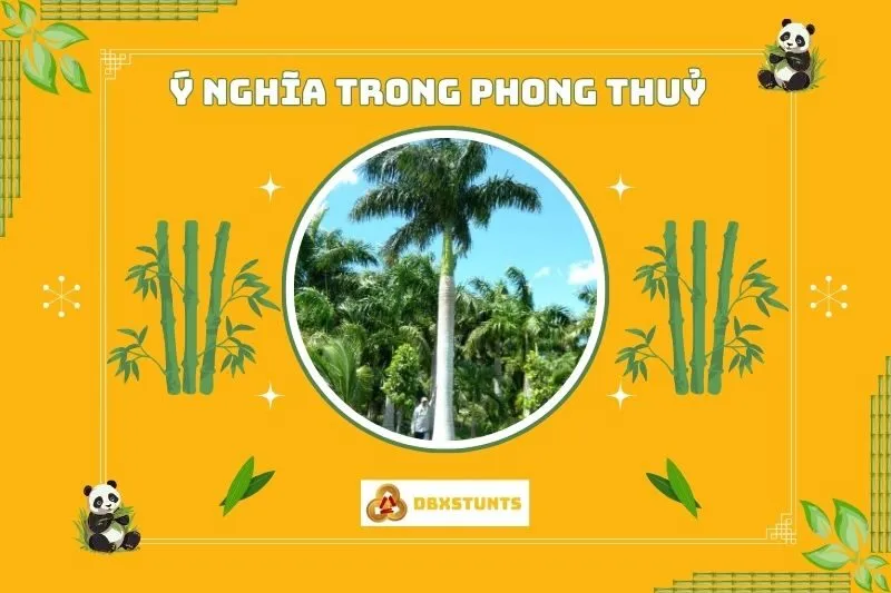 Ý nghĩa phong thuỷ của cây cau vua
