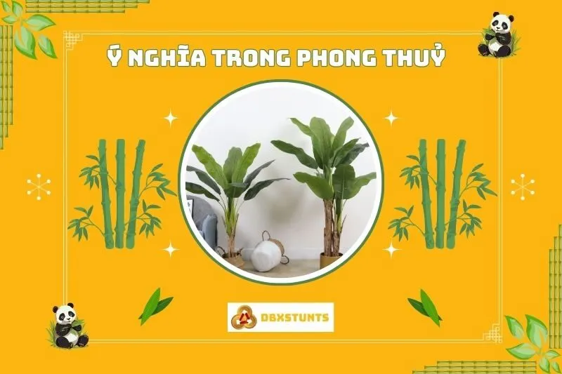 Ý nghĩa phong thủy của cây chuối cảnh