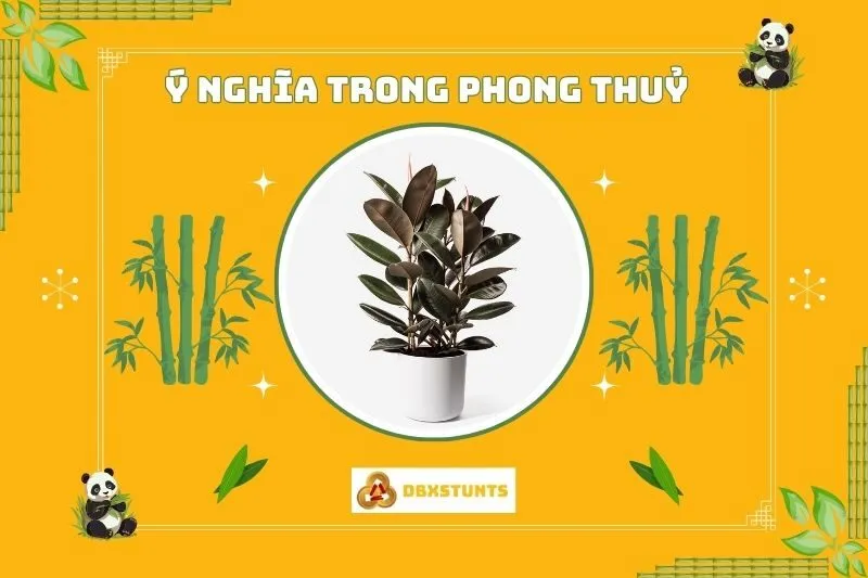 Ý nghĩa phong thủy của cây đa búp đỏ