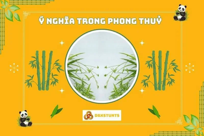 Ý nghĩa phong thuỷ của cây dây nhện