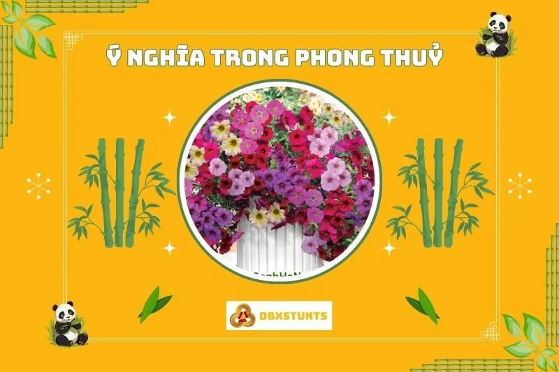 Ý nghĩa phong thủy của cây hoa dạ yến thảo