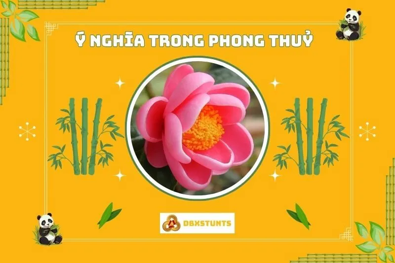 Ý nghĩa phong thủy của cây hoa hải đường