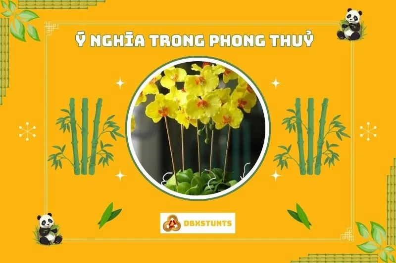 Ý nghĩa phong thủy của cây hoa lan