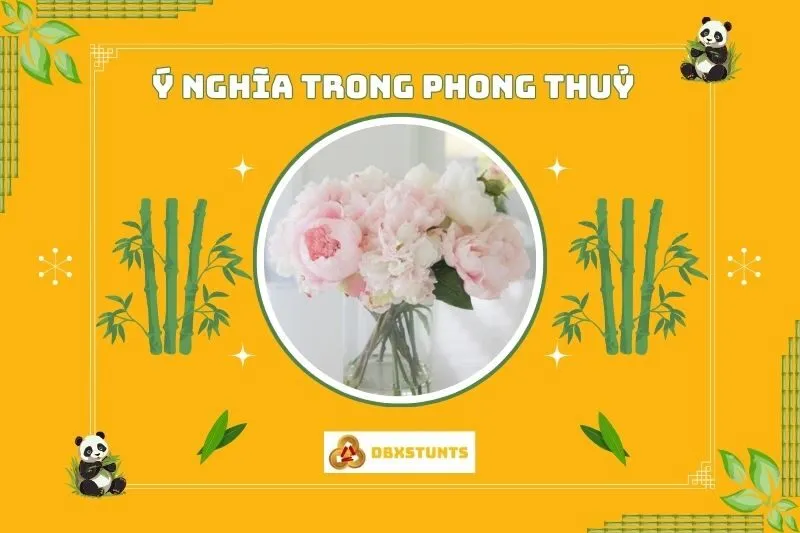 Ý Nghĩa Phong Thuỷ Của Cây Hoa Mẫu Đơn