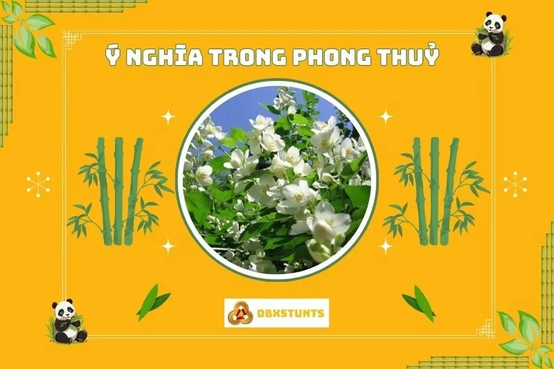 Ý nghĩa phong thủy của cây hoa nhài
