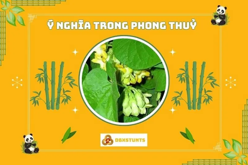 Ý nghĩa phong thủy của cây hoa thiên lý