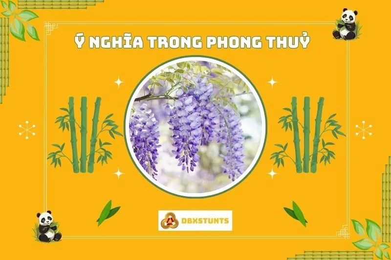 Ý Nghĩa Phong Thủy Của Cây Hoa Tử Đằng