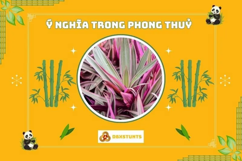 Ý nghĩa phong thủy của cây huyết dụ