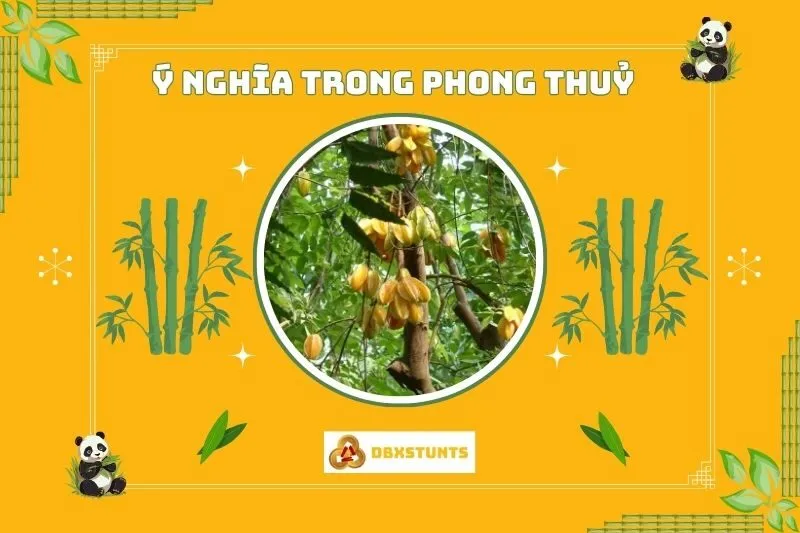 Cây khế phong thủy có ý nghĩa gì trong đời sống và phong thủy?