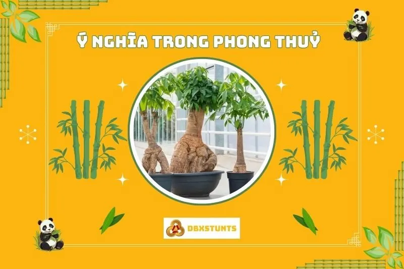 Ý nghĩa phong thủy của cây kim ngân