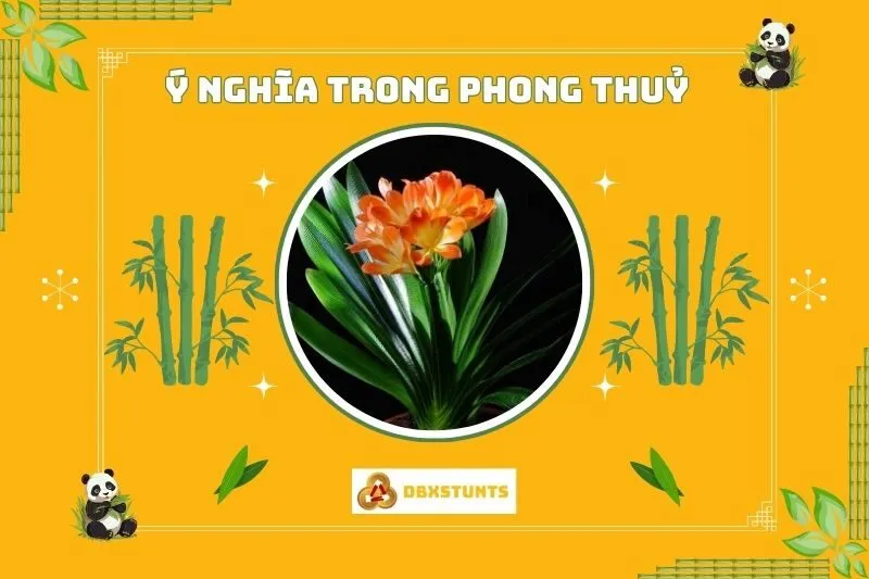 Ý nghĩa phong thủy của cây Lan Quân Tử