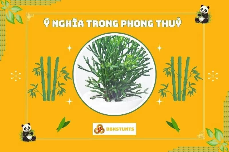 Ý nghĩa phong thủy của cây lộc nhung