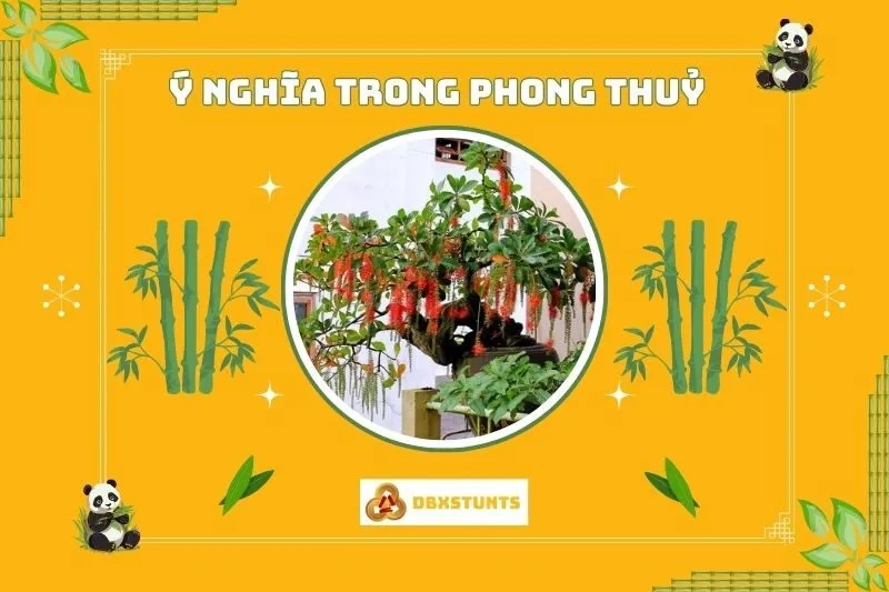 Ý nghĩa phong thủy của cây lộc vừng