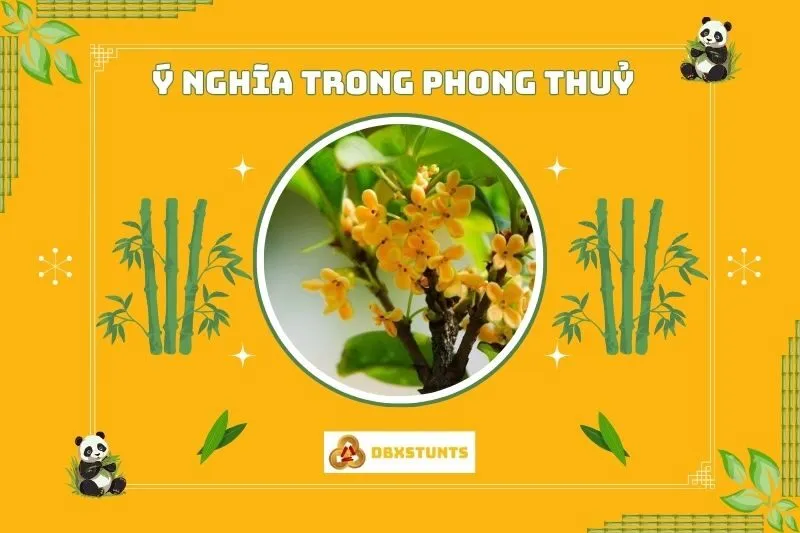 Ý nghĩa phong thủy của cây mộc hương